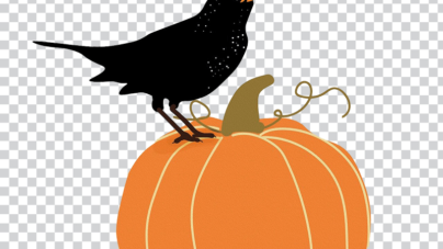 The Artful Encounter of a Black Crow and a Red Pumpkin
