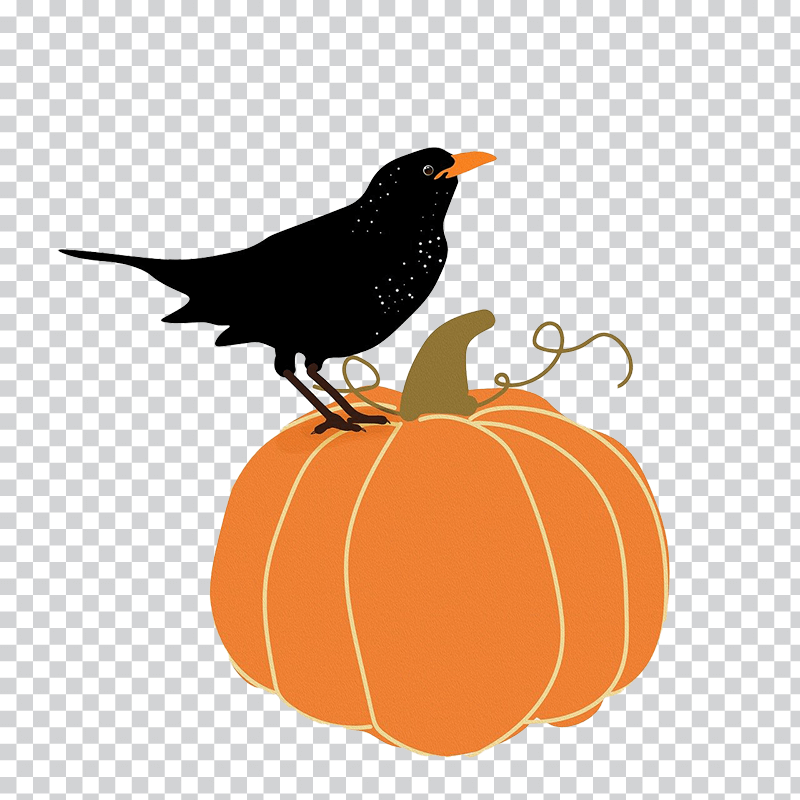 The Artful Encounter of a Black Crow and a Red Pumpkin